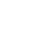 CÔNG TY CỔ PHẦN CÔNG NGHỆ BẢO MẬT VIEDT